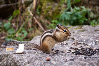 Similar image 1769818