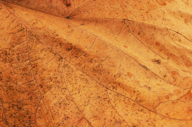 Similar image 1769820