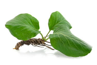 Similar image 1769825