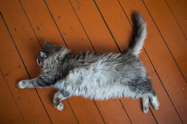 Similar image 1769828