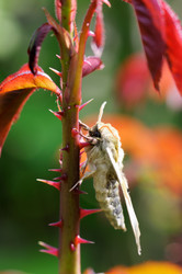 Similar image 1769898