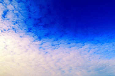 Similar image 1769899