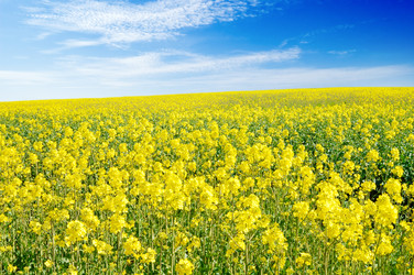 Similar image 1769921