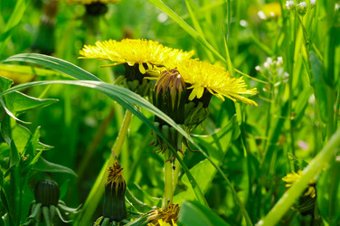 Similar image 1769922