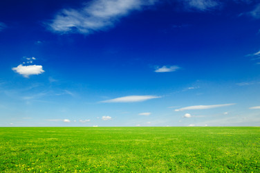 Similar image 1769925