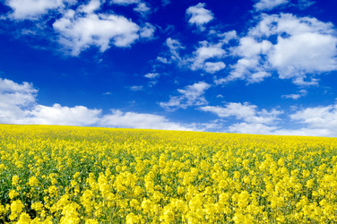 Similar image 1769928