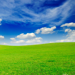 Similar image 1769932