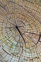 Similar image 1769933