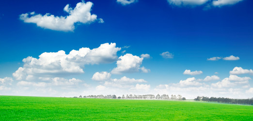 Similar image 1769934