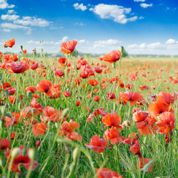 Similar image 1769935