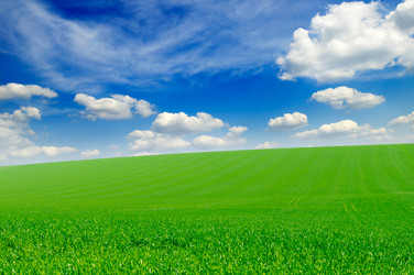 Similar image 1769937