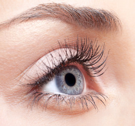 Similar image 1769938