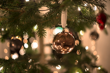 Similar image 1769997