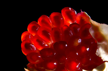 Similar image 1770052