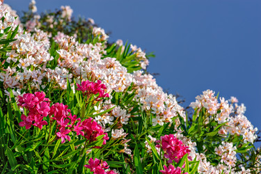 Similar image 1770107