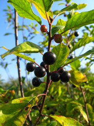 Similar image 1770133