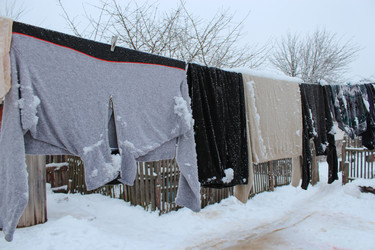 Similar image 1770171