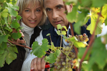 Similar image 1770991