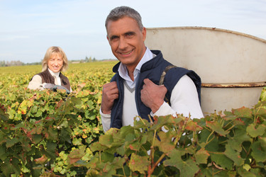 Similar image 1770992