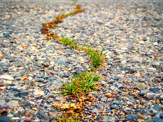 Similar image 1771256