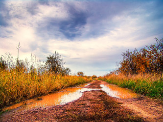 Similar image 1771257