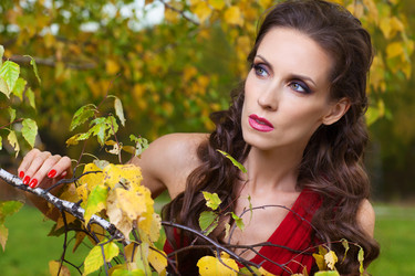 Similar image 1771309