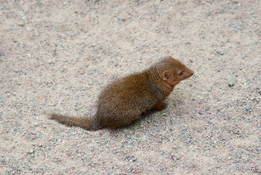 Similar image 1771411