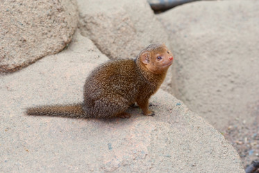 Similar image 1771412