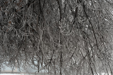 Similar image 1771414