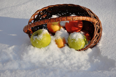 Similar image 1771448