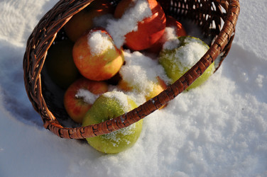 Similar image 1771449