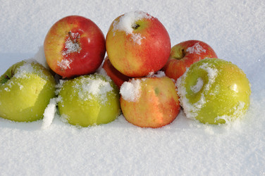 Similar image 1771457