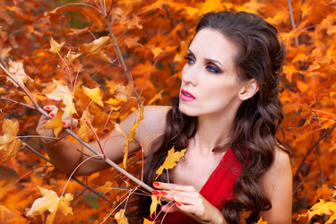 Similar image 1771465