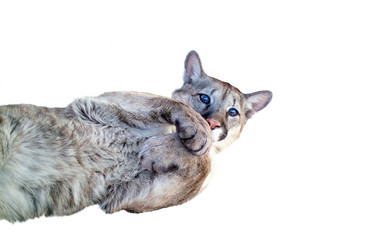 Similar image 1771471