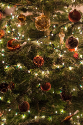 Similar image 1771519