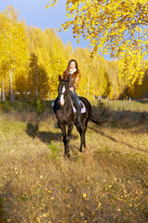 Similar image 1771544