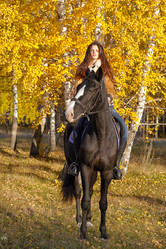 Similar image 1771546