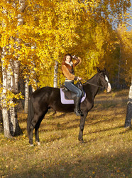 Similar image 1771548