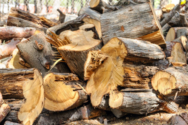 Similar image 1771569