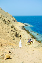 Similar image 1771616