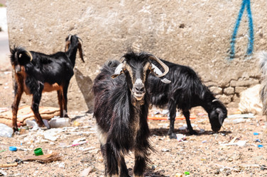 Similar image 1771632