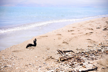 Similar image 1771692