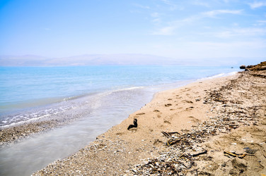 Similar image 1771693