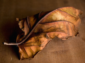 Similar image 1771700