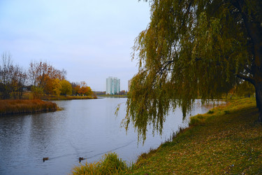 Similar image 1771707