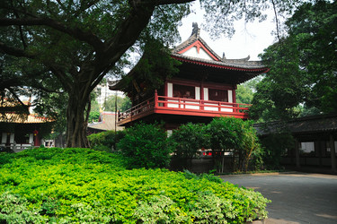 Similar image 1771719