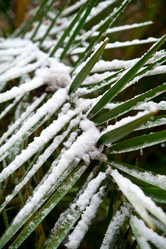 Similar image 1771754