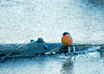 Similar image 1771772