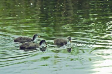 Similar image 1771777