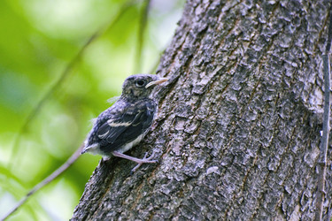 Similar image 1771778